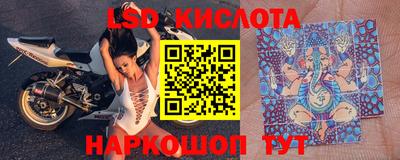 шишки Бузулук