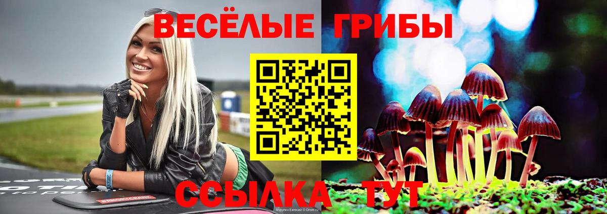 Псилоцибиновые грибы Psilocybine cubensis Бирск