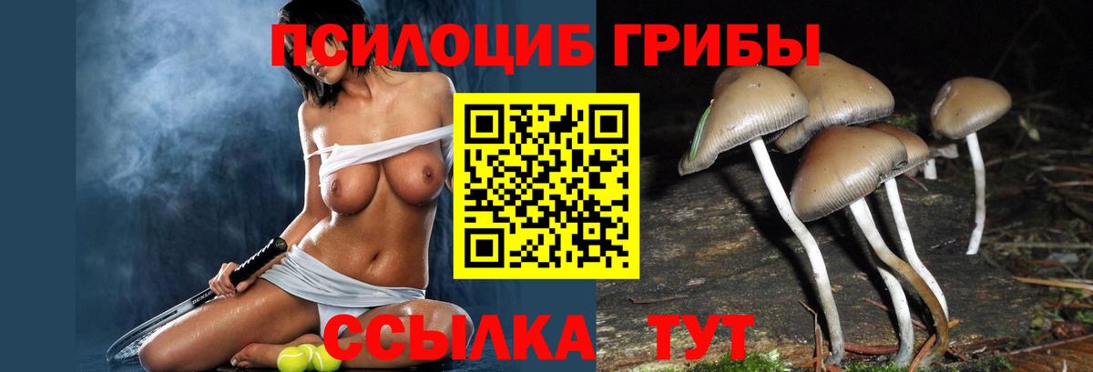 цены наркотик  Галлюциногенные грибы MAGIC MUSHROOMS  Вход с VPN  Бирск 